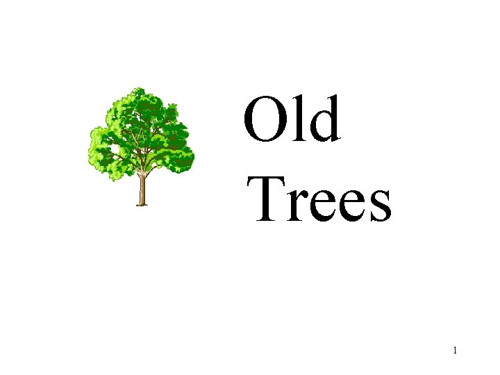 Old Trees 1 
