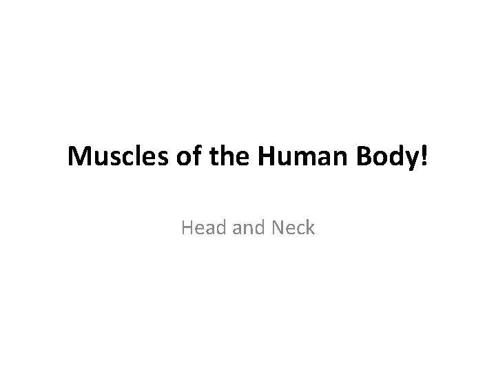 Muscles of the Human Body! Head and Neck 