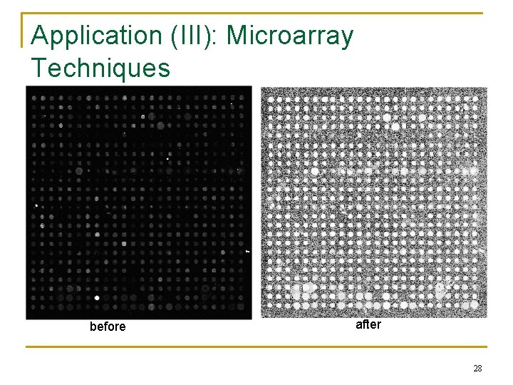 Application (III): Microarray Techniques before after 28 