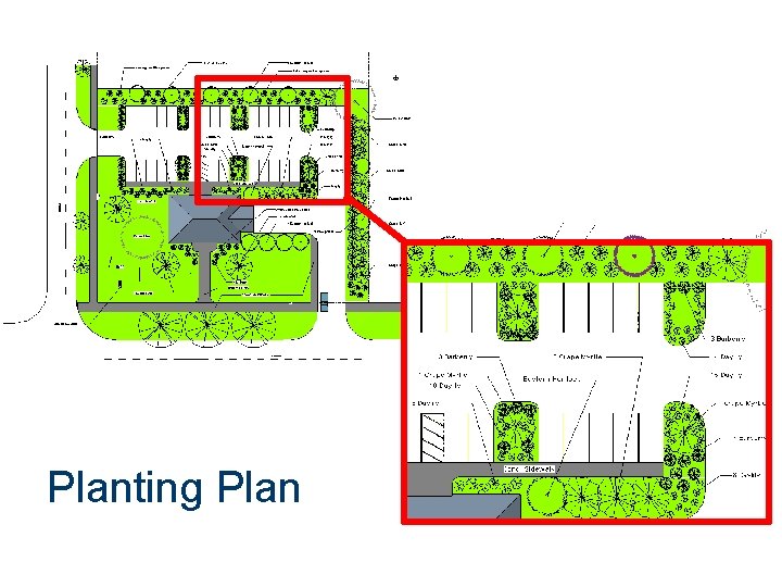 Planting Plan 