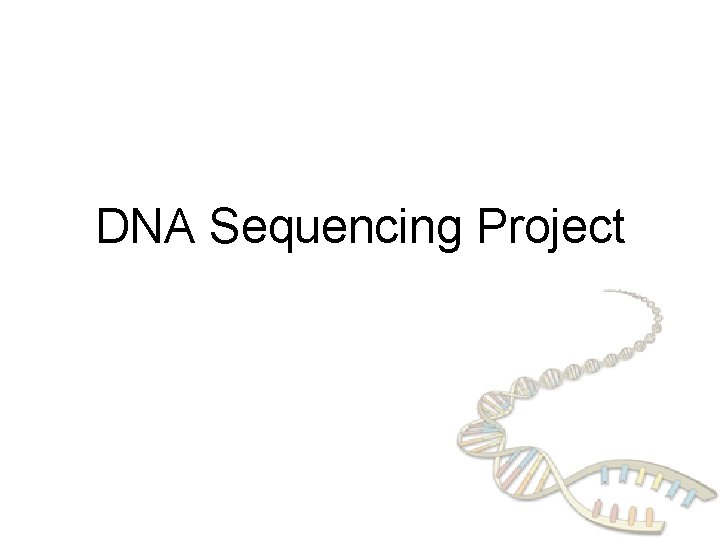 DNA Sequencing Project 