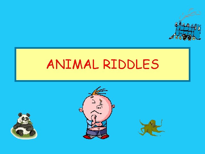 ANIMAL RIDDLES 