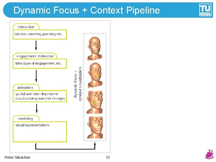 Dynamic Focus + Context Pipeline Peter Sikachev 12 