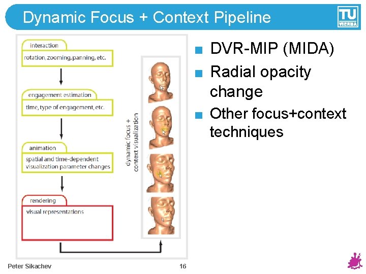 Dynamic Focus + Context Pipeline DVR-MIP (MIDA) Radial opacity change Other focus+context techniques Peter