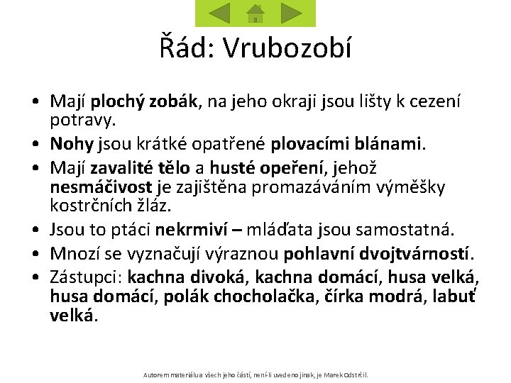 Řád: Vrubozobí • Mají plochý zobák, na jeho okraji jsou lišty k cezení potravy.