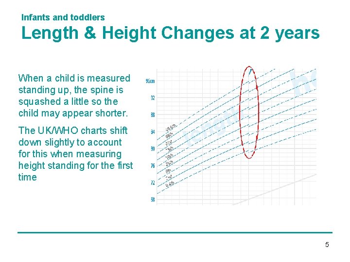 Infants and toddlers Length & Height Changes at 2 years When a child is