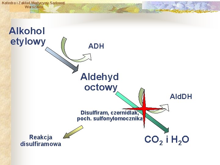 Katedra i Zakład Medycyny Sądowej Warszawa Alkohol etylowy ADH Aldehyd octowy Ald. DH Disulfiram,