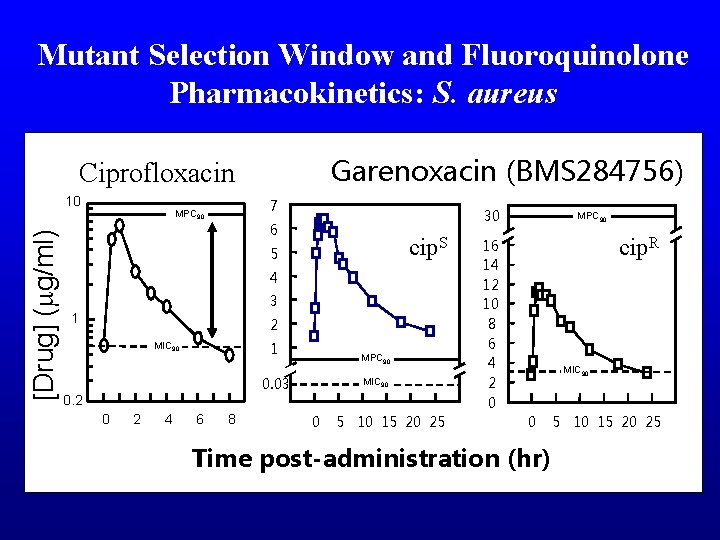 Mutant Selection Window and Fluoroquinolone Pharmacokinetics: S. aureus Garenoxacin (BMS 284756) Ciprofloxacin [Drug] (mg/ml)