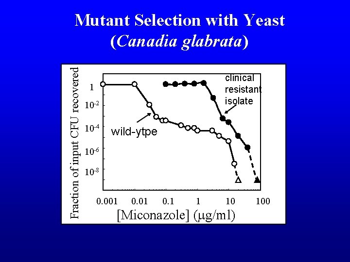 Fraction of input CFU recovered Mutant Selection with Yeast (Canadia glabrata) clinical resistant isolate
