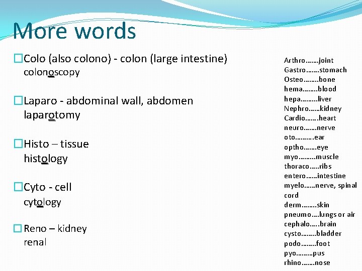 More words �Colo (also colono) - colon (large intestine) colonoscopy �Laparo - abdominal wall,