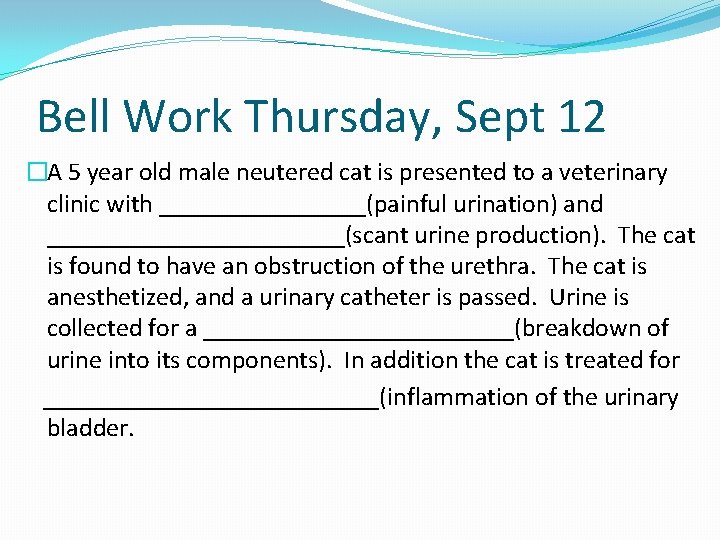 Bell Work Thursday, Sept 12 �A 5 year old male neutered cat is presented