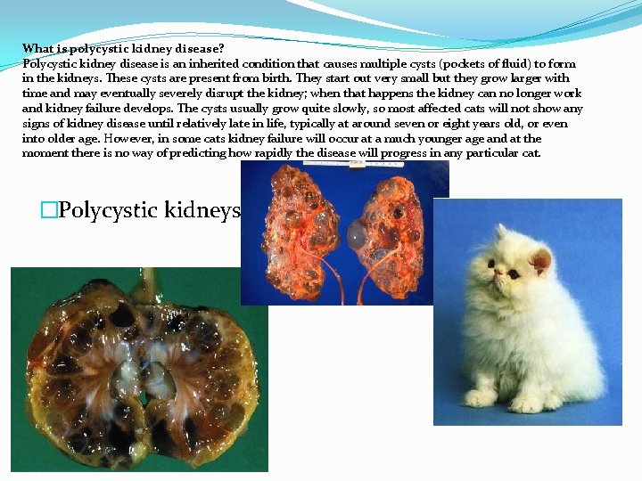 What is polycystic kidney disease? Polycystic kidney disease is an inherited condition that causes