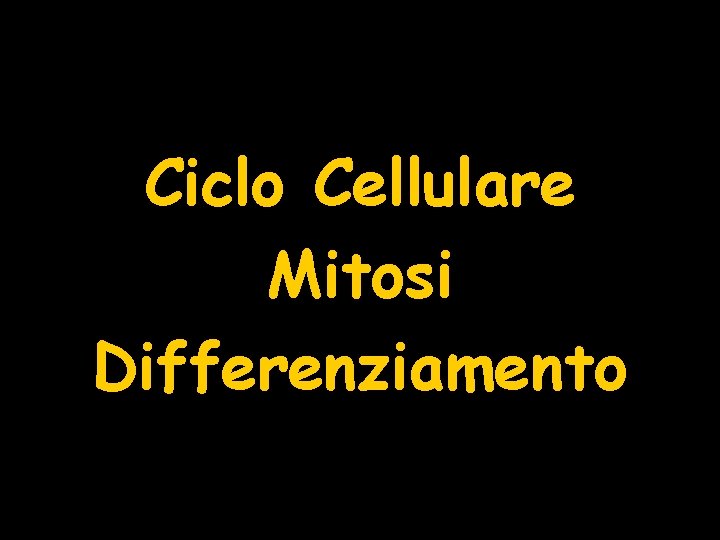 Ciclo Cellulare Mitosi Differenziamento 