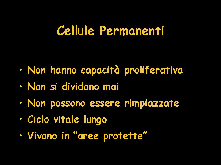 Cellule Permanenti • Non hanno capacità proliferativa • Non si dividono mai • Non