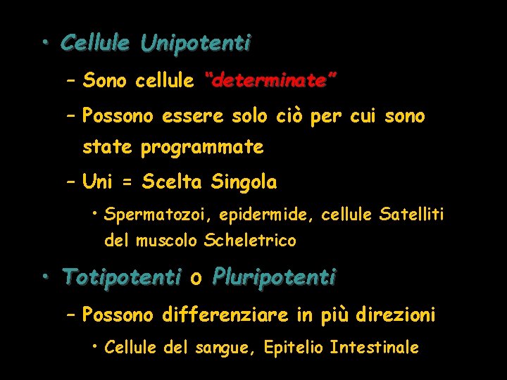  • Cellule Unipotenti – Sono cellule “determinate” – Possono essere solo ciò per