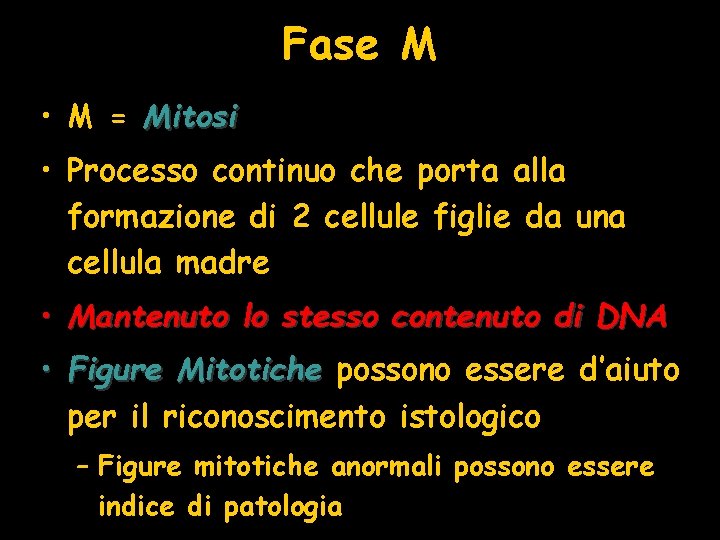 Fase M • M = Mitosi • Processo continuo che porta alla formazione di