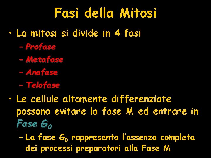 Fasi della Mitosi • La mitosi si divide in 4 fasi – Profase –