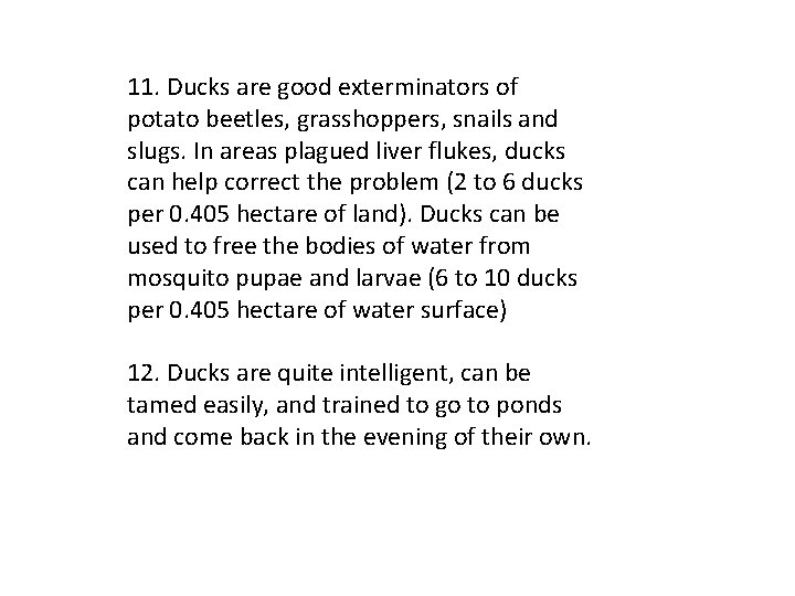 11. Ducks are good exterminators of potato beetles, grasshoppers, snails and slugs. In areas