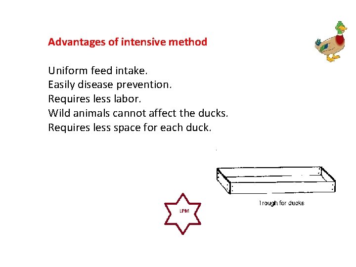Advantages of intensive method Uniform feed intake. Easily disease prevention. Requires less labor. Wild
