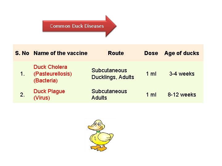 Common Duck Diseases S. No Name of the vaccine Route Dose Age of ducks