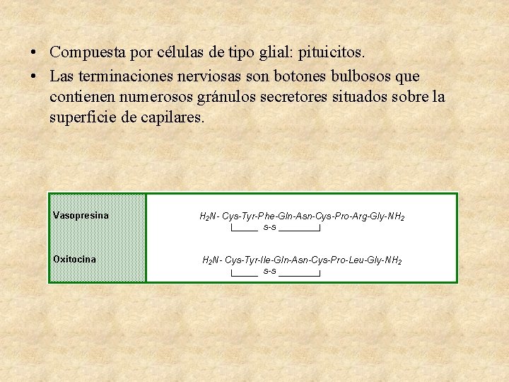  • Compuesta por células de tipo glial: pituicitos. • Las terminaciones nerviosas son