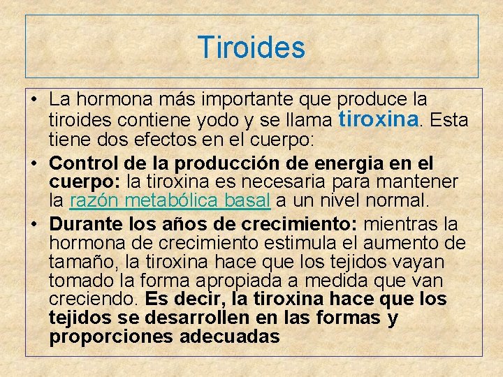 Tiroides • La hormona más importante que produce la tiroides contiene yodo y se