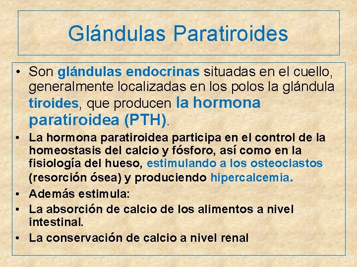 Glándulas Paratiroides • Son glándulas endocrinas situadas en el cuello, generalmente localizadas en los