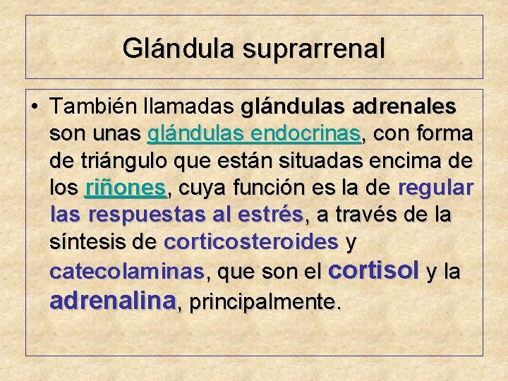 Glándula suprarrenal • También llamadas glándulas adrenales son unas glándulas endocrinas, con forma de