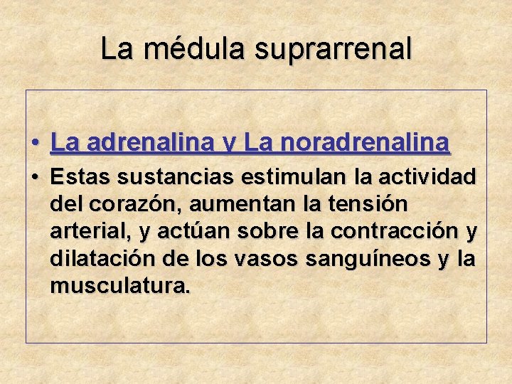 La médula suprarrenal • La adrenalina y La noradrenalina • Estas sustancias estimulan la