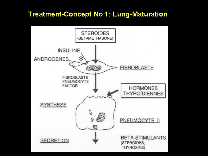 Treatment-Concept No 1: Lung-Maturation 