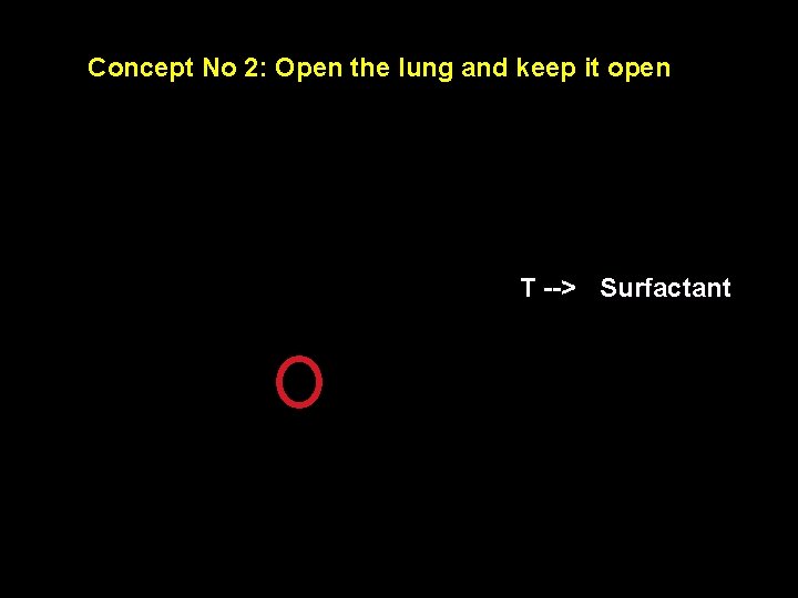 Concept No 2: Open the lung and keep it open T --> Surfactant 