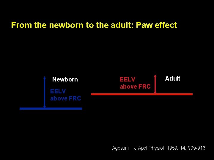 From the newborn to the adult: Paw effect chest wall Newborn EELV above FRC