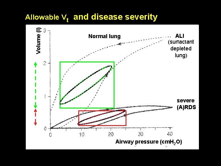 Volume (l) Allowable Vt and disease severity Normal lung ALI (surfactant depleted lung) severe