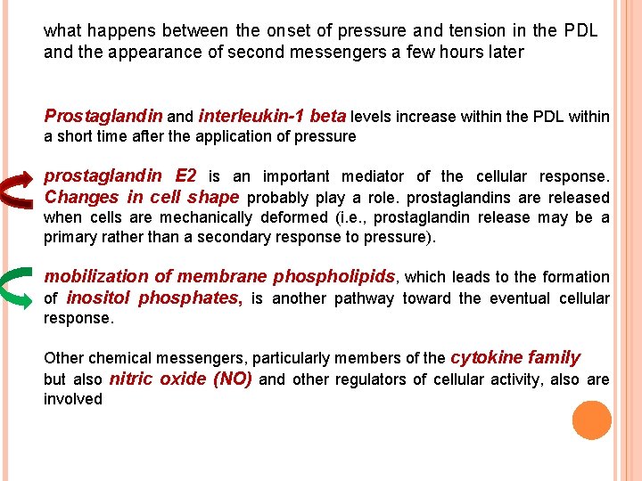 what happens between the onset of pressure and tension in the PDL and the