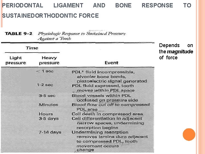 PERIODONTAL LIGAMENT AND BONE RESPONSE TO SUSTAINEDORTHODONTIC FORCE Depends on the magnitude of force