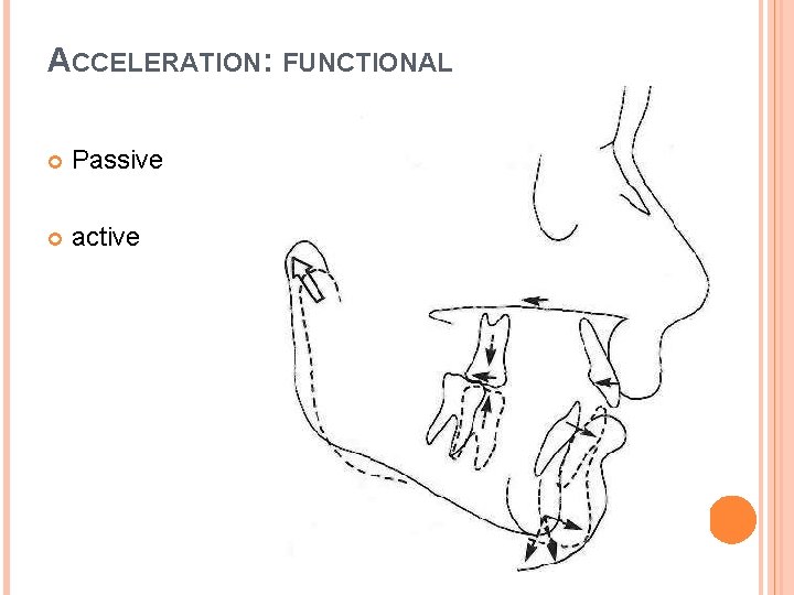 ACCELERATION: FUNCTIONAL Passive active 