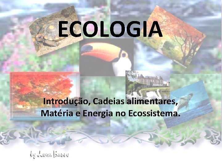 ECOLOGIA Introdução, Cadeias alimentares, Matéria e Energia no Ecossistema. 