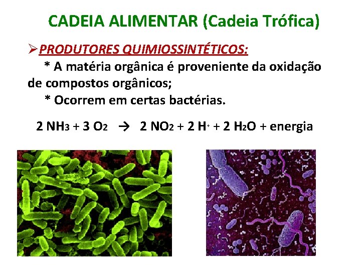 CADEIA ALIMENTAR (Cadeia Trófica) ØPRODUTORES QUIMIOSSINTÉTICOS: * A matéria orgânica é proveniente da oxidação