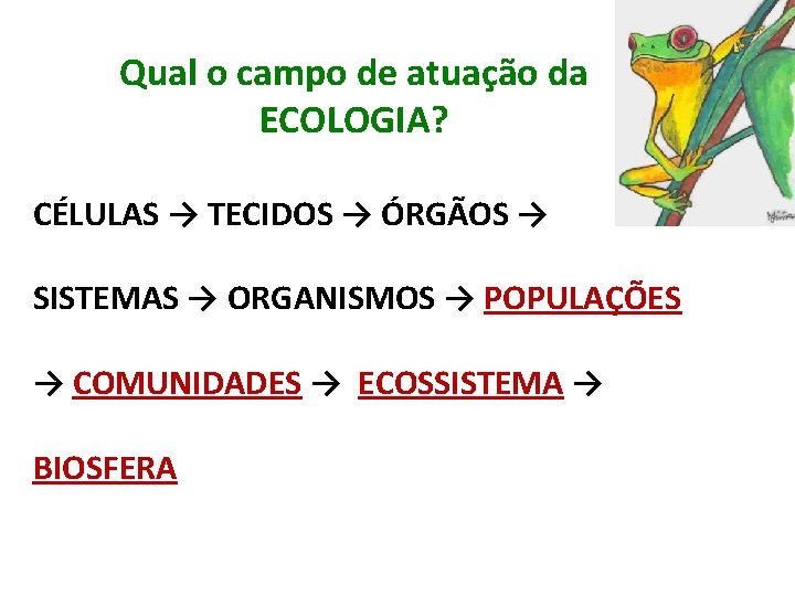 Qual o campo de atuação da ECOLOGIA? CÉLULAS → TECIDOS → ÓRGÃOS → SISTEMAS