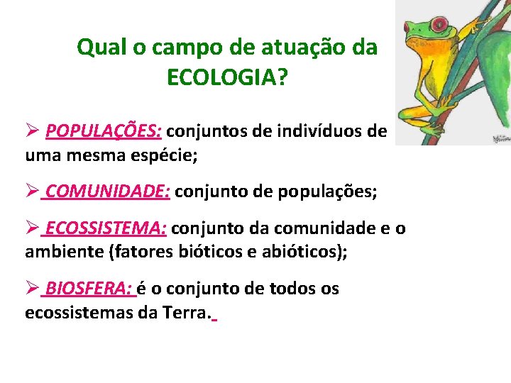 Qual o campo de atuação da ECOLOGIA? Ø POPULAÇÕES: conjuntos de indivíduos de uma