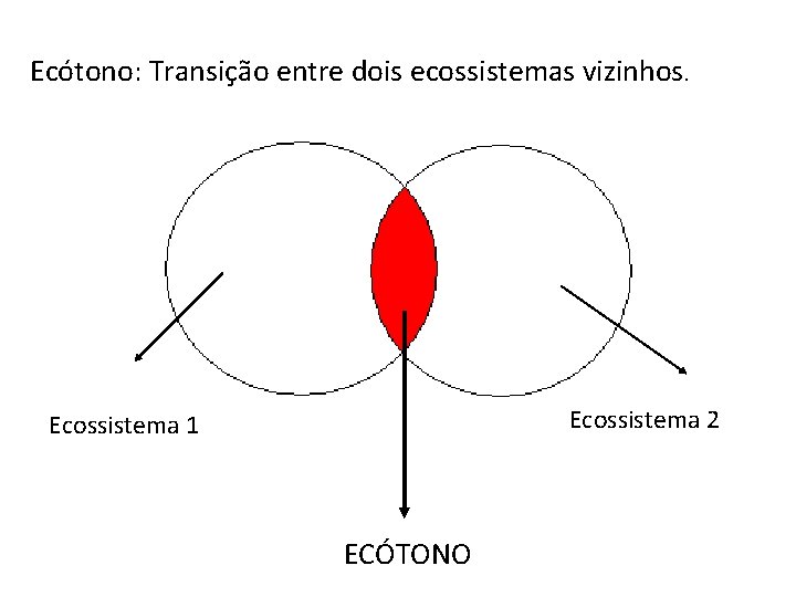 Ecótono: Transição entre dois ecossistemas vizinhos. Ecossistema 2 Ecossistema 1 ECÓTONO 