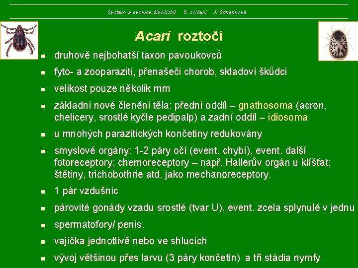 Systém a evoluce živočichů 5. cvičení J. Schenková Acari roztoči n druhově nejbohatší taxon