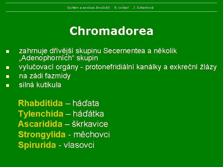 Systém a evoluce živočichů 5. cvičení J. Schenková Chromadorea n n zahrnuje dřívější skupinu