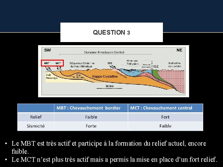 QUESTION 3 • Le MBT est très actif et participe à la formation du