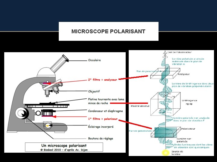 MICROSCOPE POLARISANT 