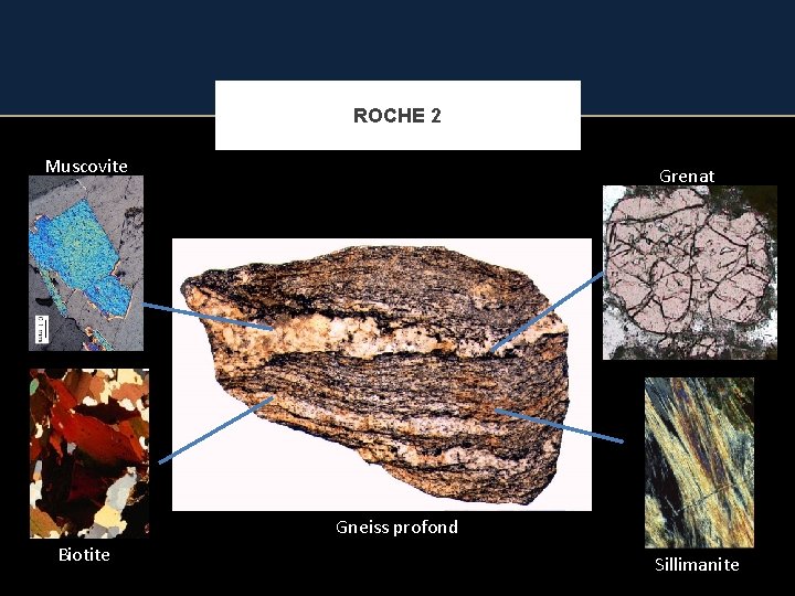 ROCHE 2 Muscovite Grenat Gneiss profond Biotite Sillimanite 