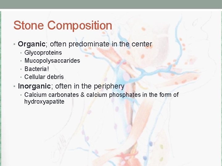 Stone Composition • Organic; often predominate in the center • Glycoproteins • Mucopolysaccarides •