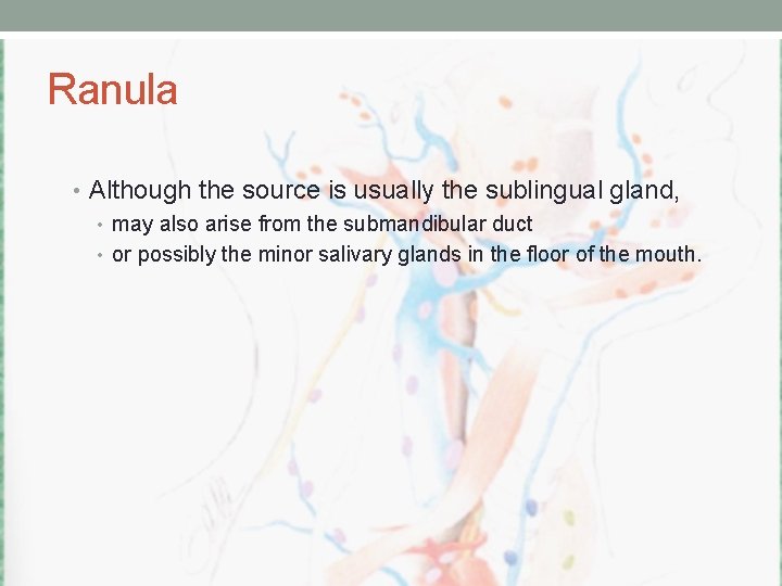 Ranula • Although the source is usually the sublingual gland, • may also arise