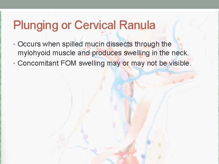 Plunging or Cervical Ranula • Occurs when spilled mucin dissects through the mylohyoid muscle