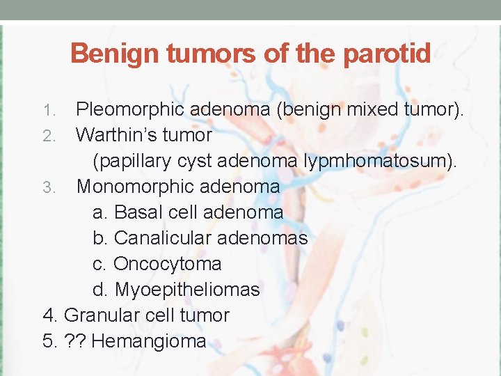 Benign tumors of the parotid Pleomorphic adenoma (benign mixed tumor). 2. Warthin’s tumor (papillary